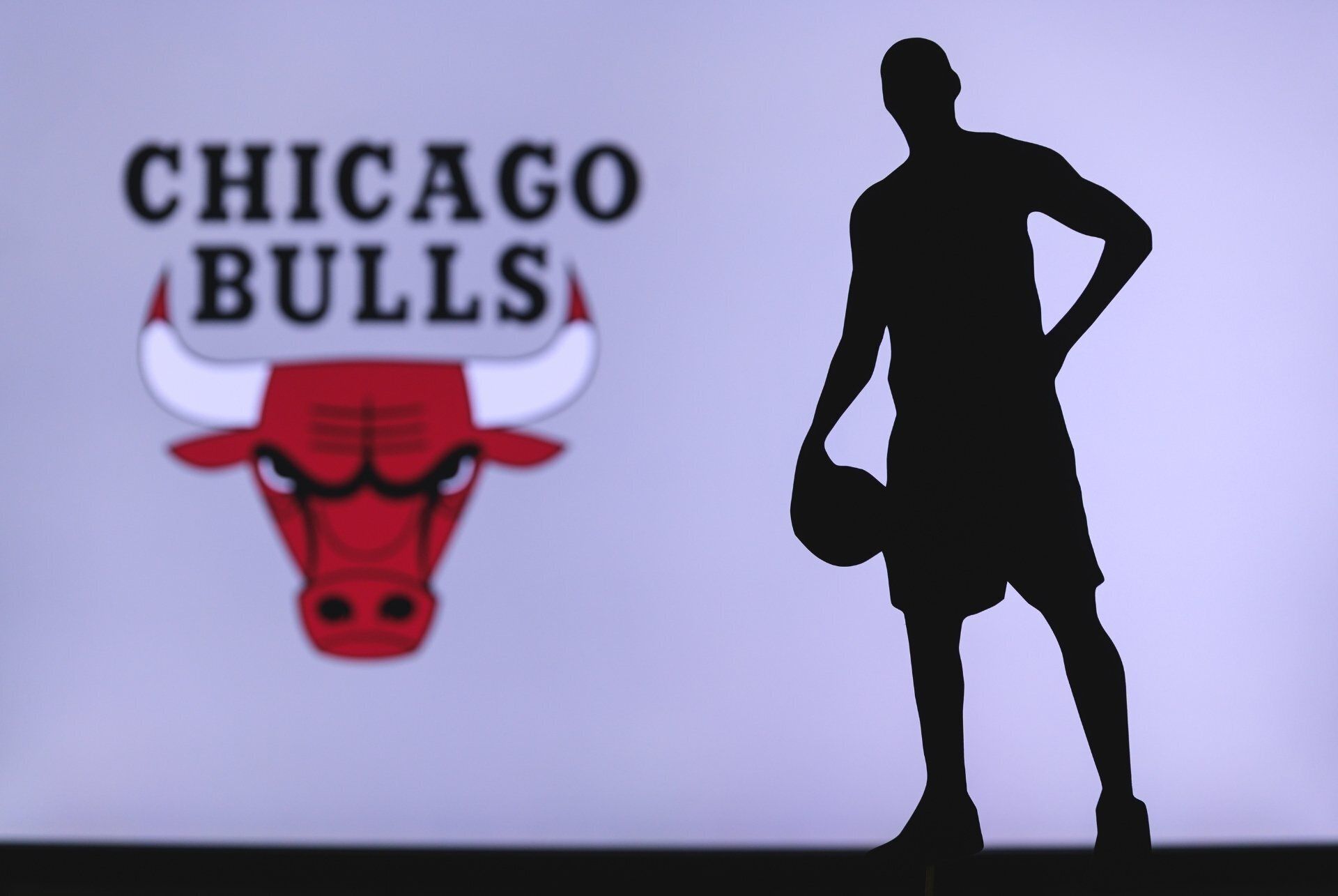 chicago bulls